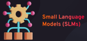 Formation Small Language Models (SLMs) en France