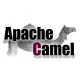 Formation Apache Camel en France
