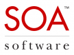 Formation SOA Governance en France