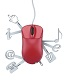Formation Services Web en France
