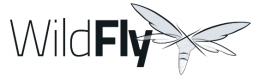 Formation Wildfly en France