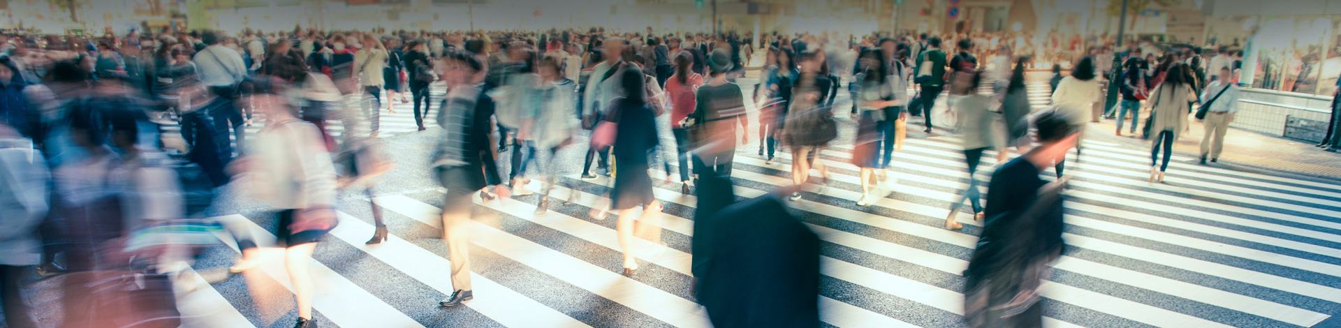 Formation et Conseil